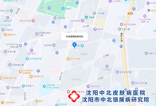 沈阳中北医院地图