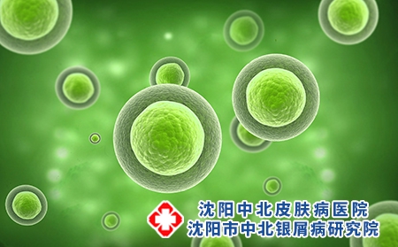 摄图网_400203572_细胞真菌生物结构（企业商用）