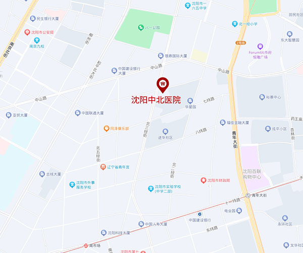 沈阳中北医院地图