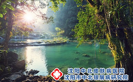 沈阳银屑病医院,辽宁银屑病专科医院,沈阳的牛皮癣医院,沈阳好的牛皮癣医院,沈阳疗效好的牛皮癣医院